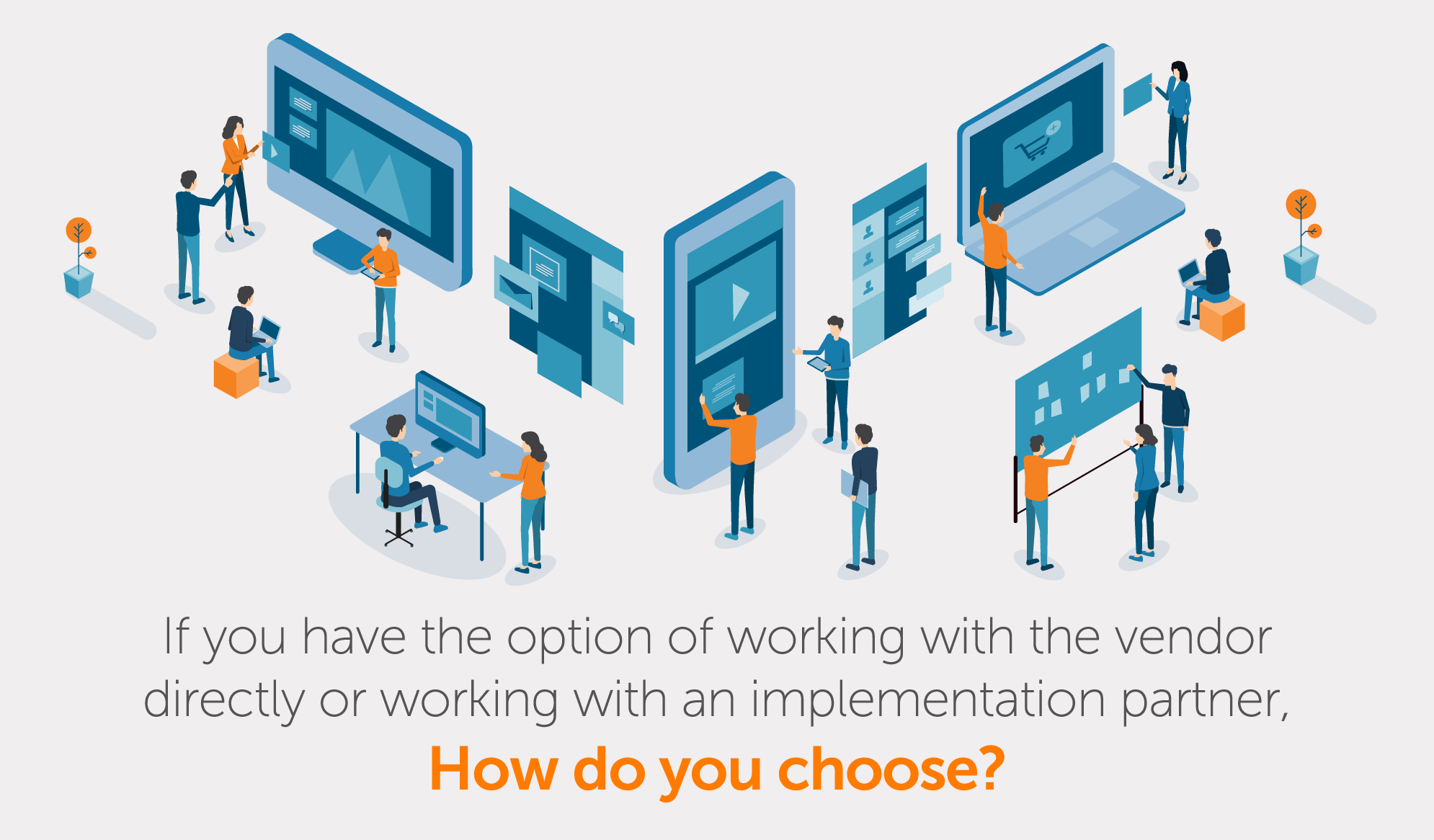 Should you use an implementation partner while working with vendors