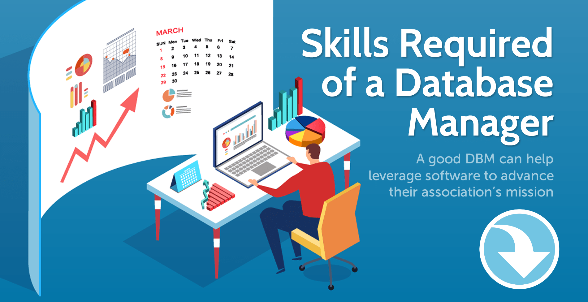 Skills Required of a Database Manager
